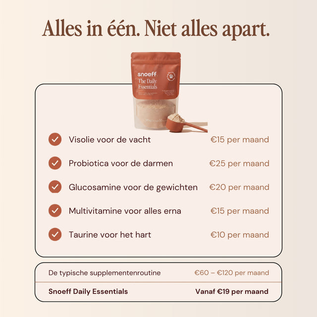 Snoeff ~ The Daily Essentials