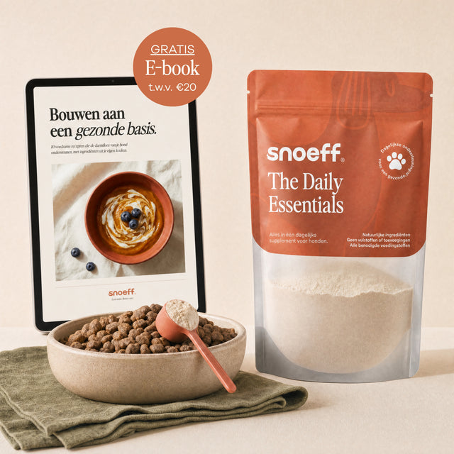 Snoeff ~ The Daily Essentials