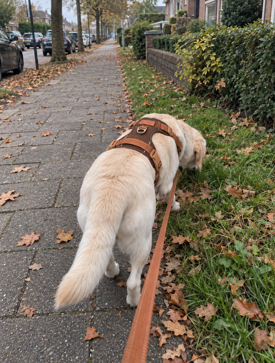 De voorring werkte eindelijk zonder dat het tuig scheef trok