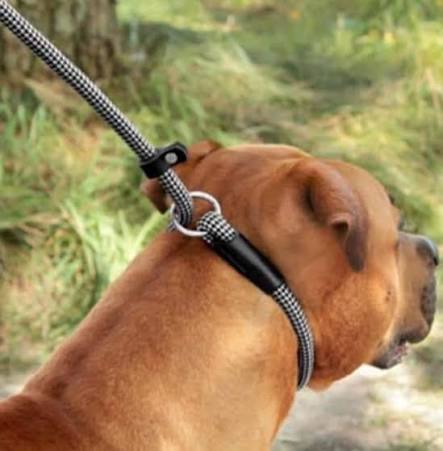 De Slipketting